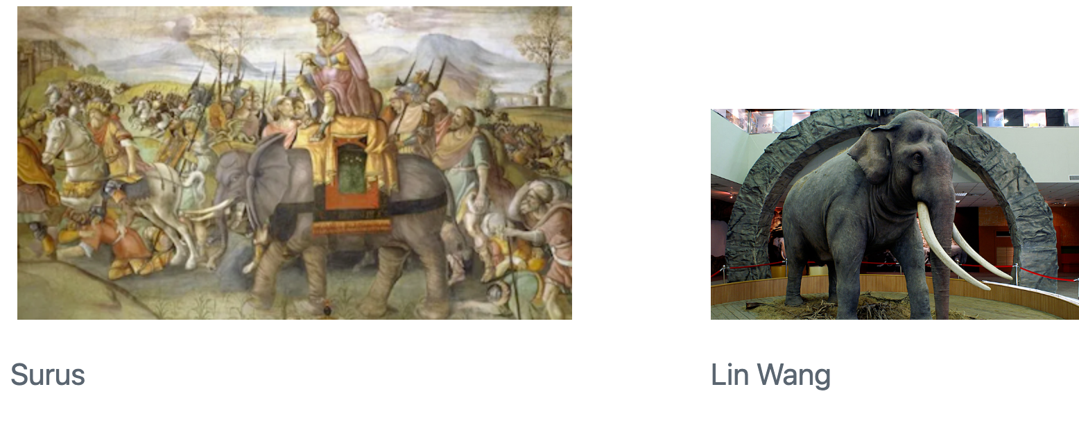 왼쪽에는 Figure 1: Surus, 오른쪽에는 Figure 2: Lin Wang이 서로 다른 크기로 배치된 예시