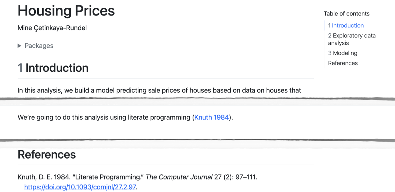 문서 끝에 단일 인용과 References 섹션이 있는 모습.