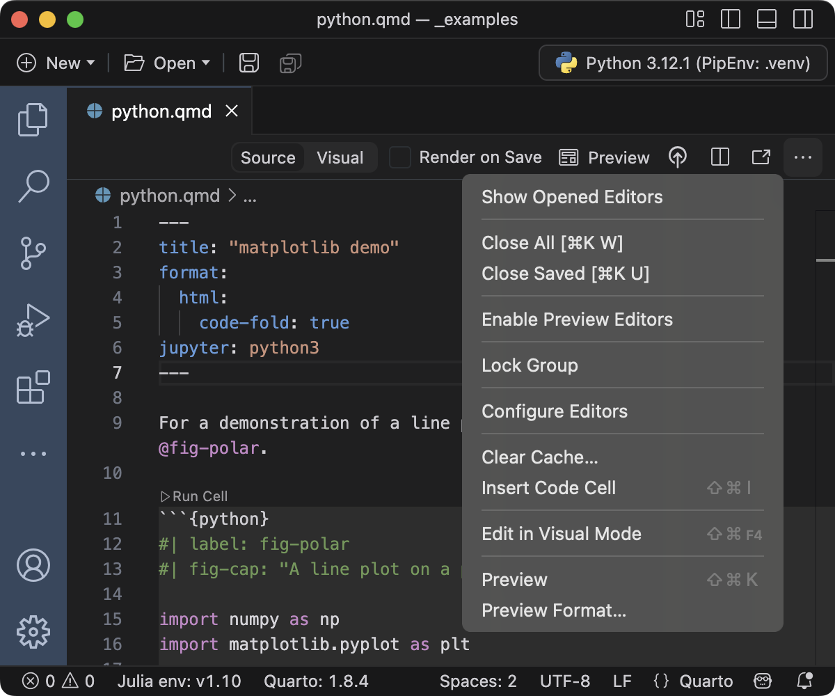 Positron 편집기 상단. 편집기 제목 메뉴가 확장되어 있고 Preview Format 명령이 메뉴에 있습니다.